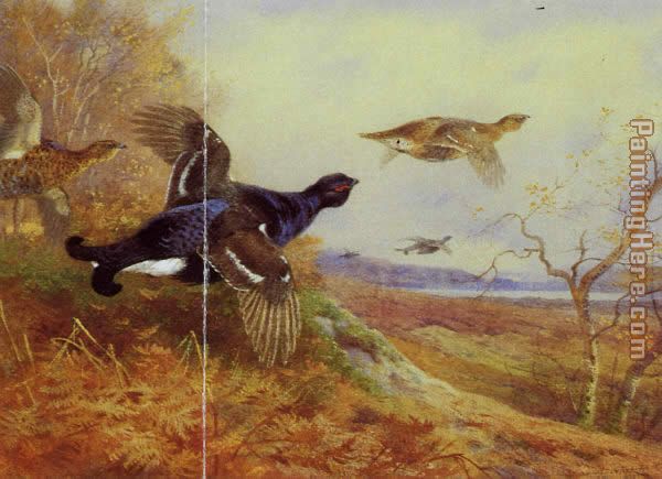 Archibald Thorburn Blackgame in Flight